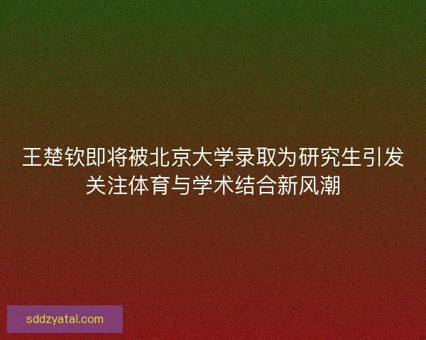 王楚钦即将被北京大学录取为研究生引发关注体育与学术结合新风潮